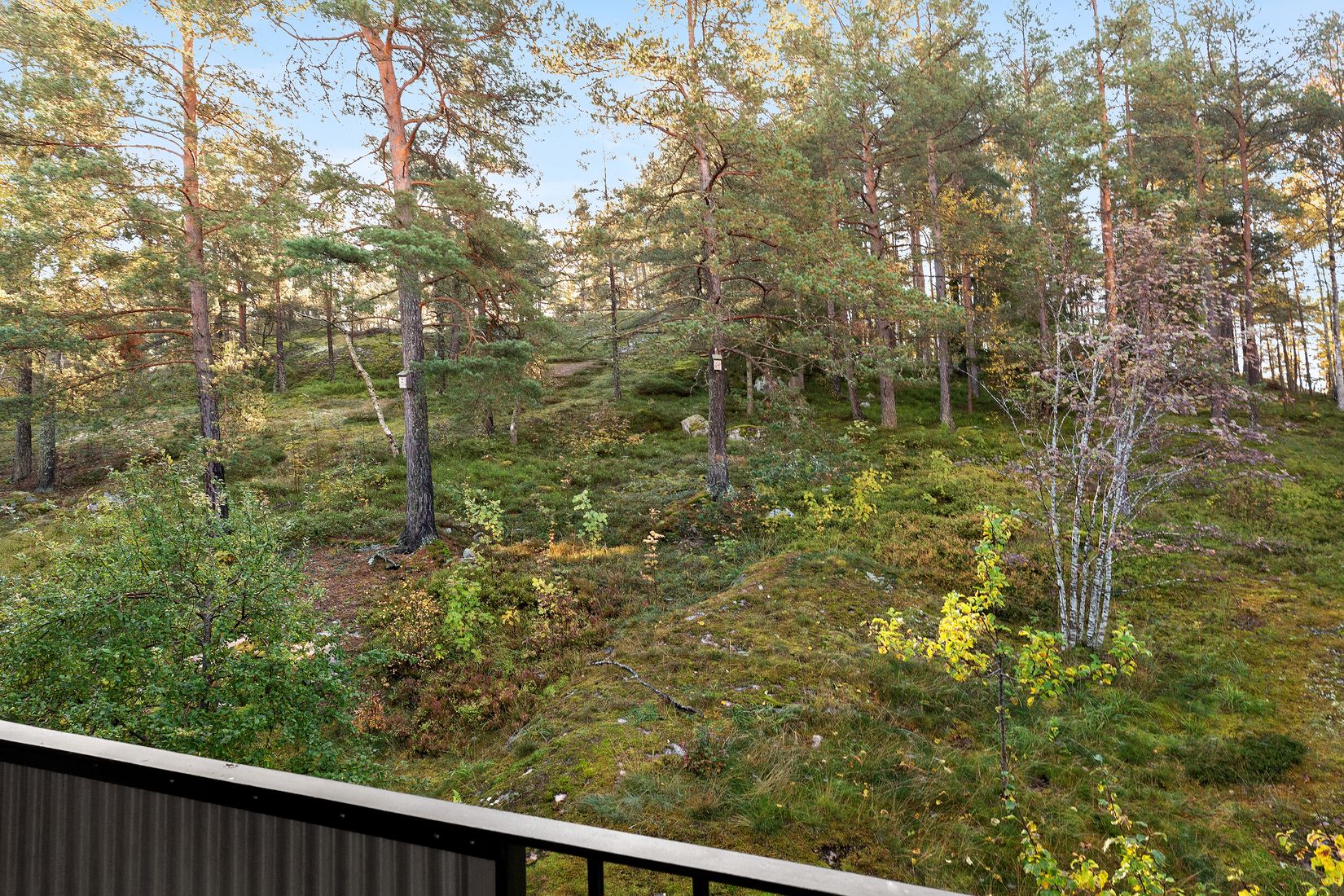 Bostadsrätt, Ribbings Väg 6B, Edsberg, Sollentuna