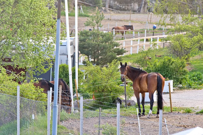 Villa, Radhus, Gröneborgsvägen 4, Gustavsberg, Värmdö