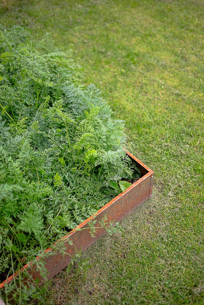 Radhus, Hammargatan 8D, Trosaporten, Trosa