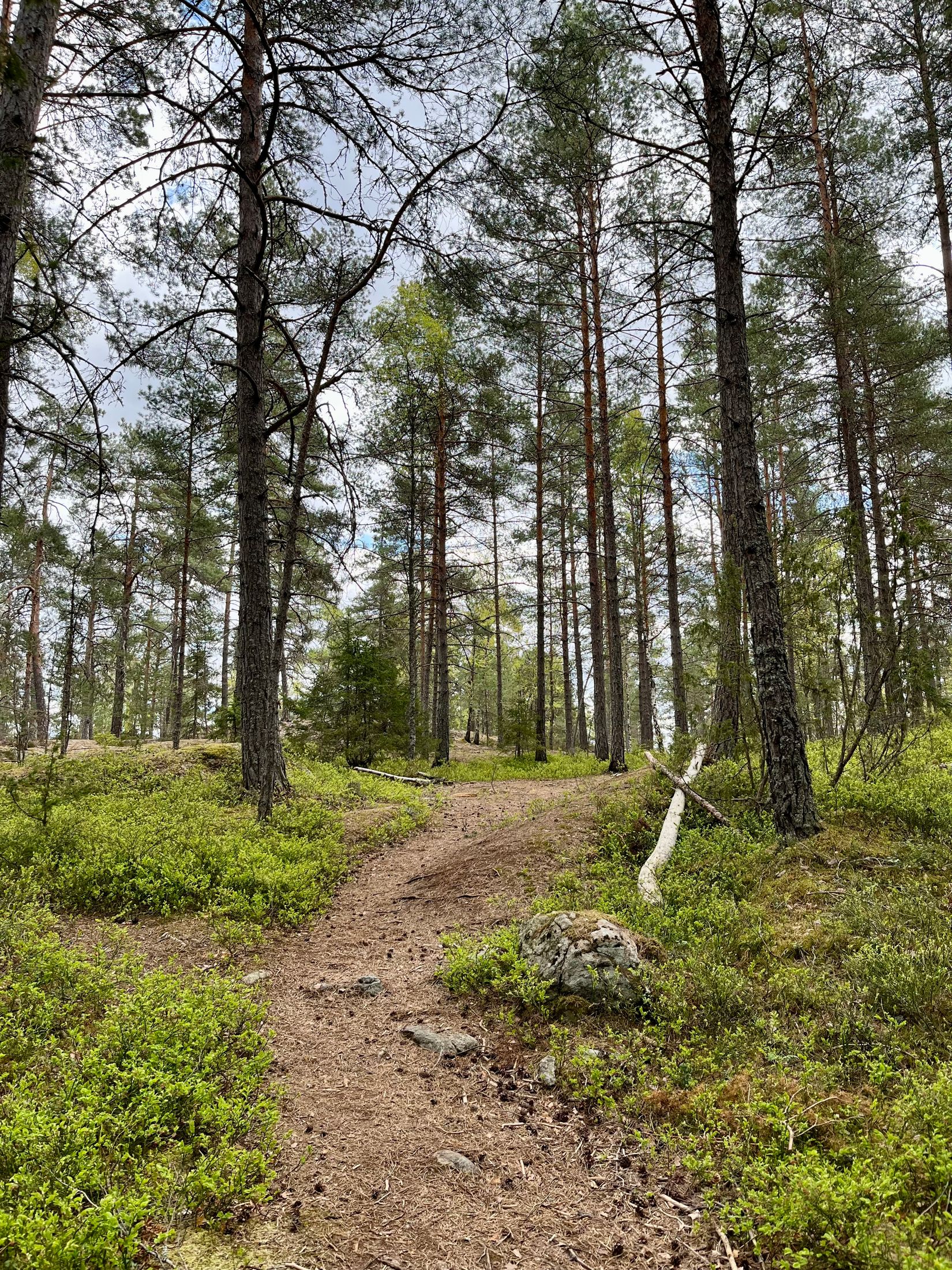 Villa, Hortensiavägen 62, Vistaberg, Huddinge