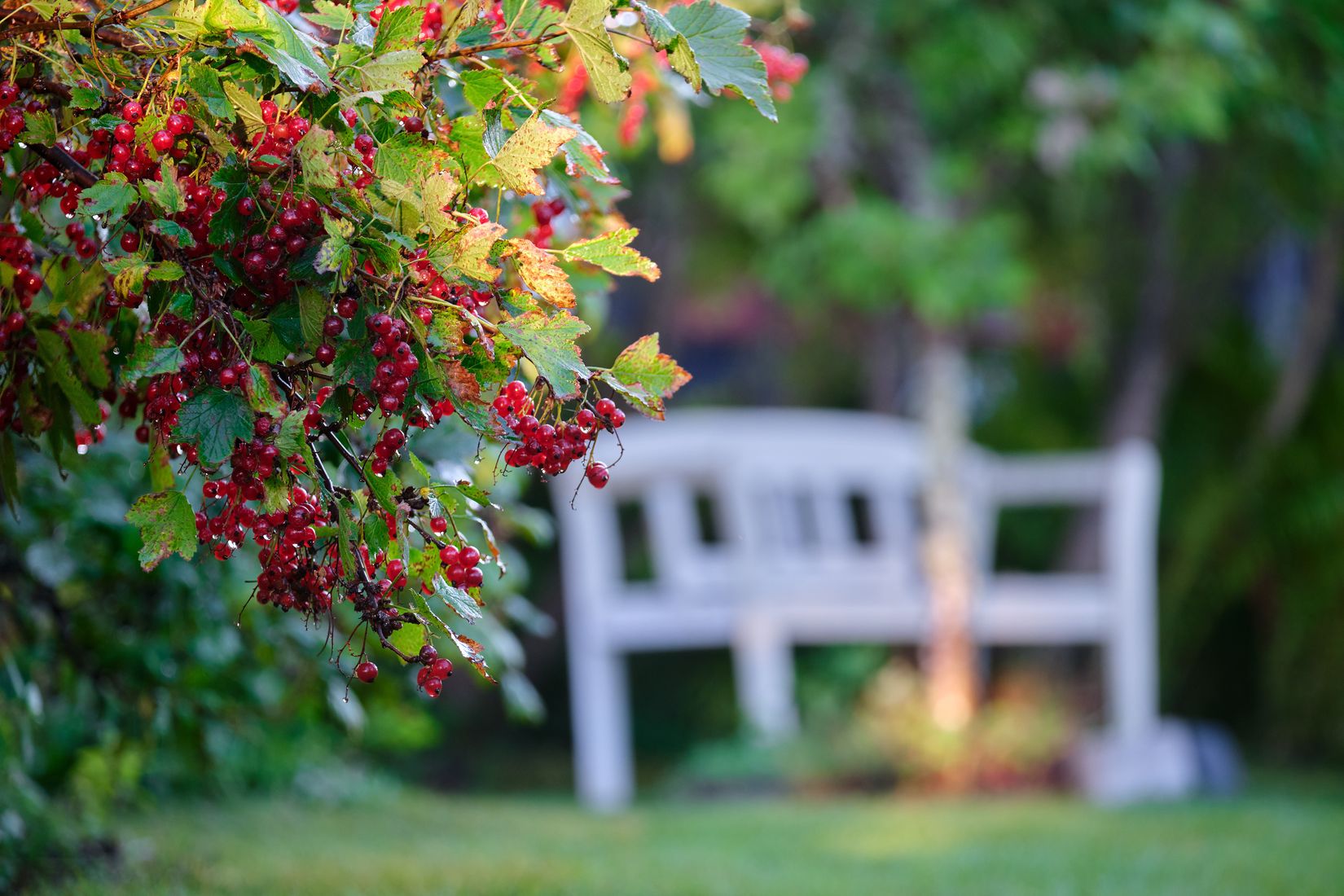 Fritidshus, Villanäs 409 lott 5., Villanäs, Umeå