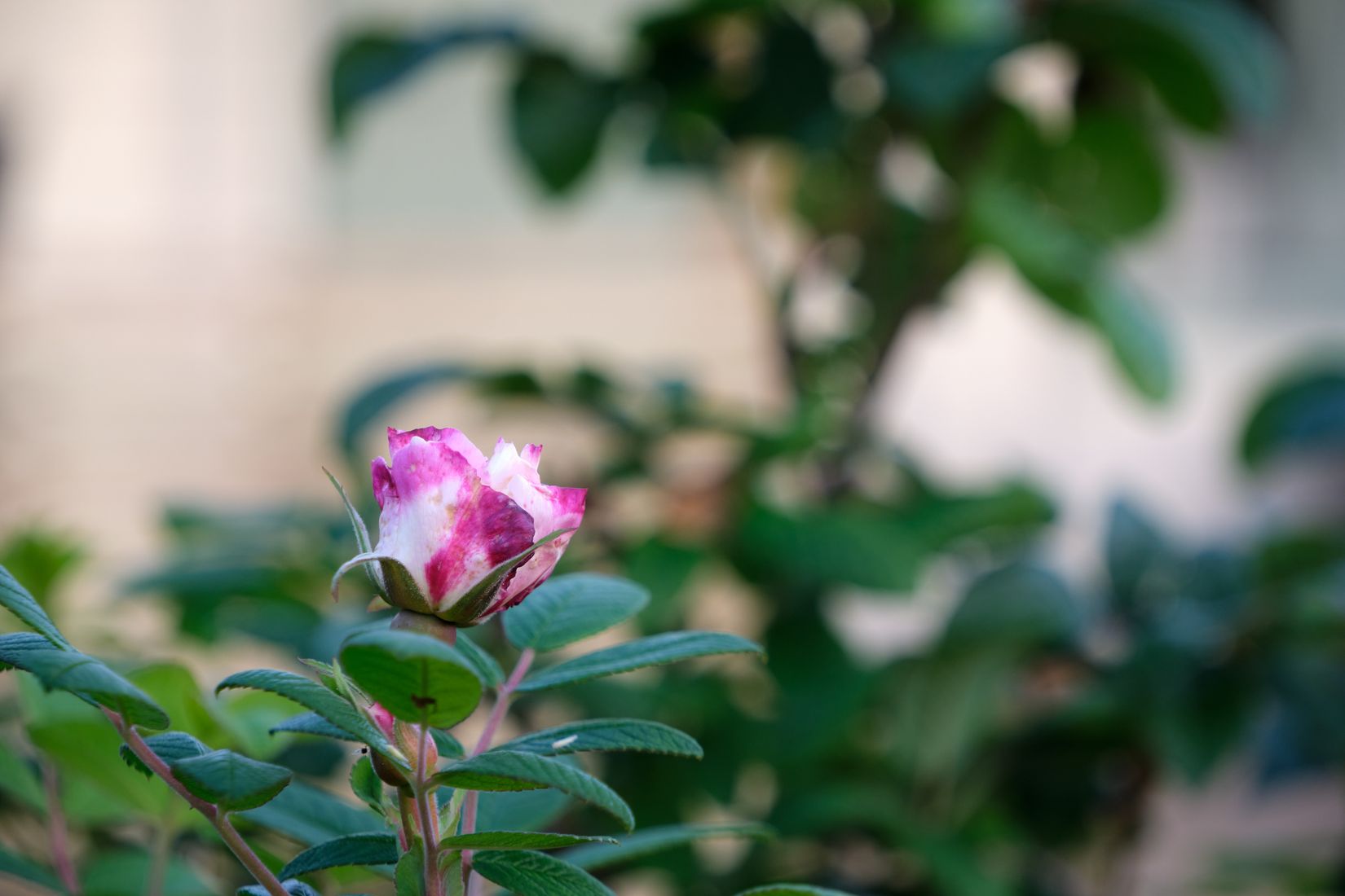 Fritidshus, Villanäs 409 lott 5., Villanäs, Umeå