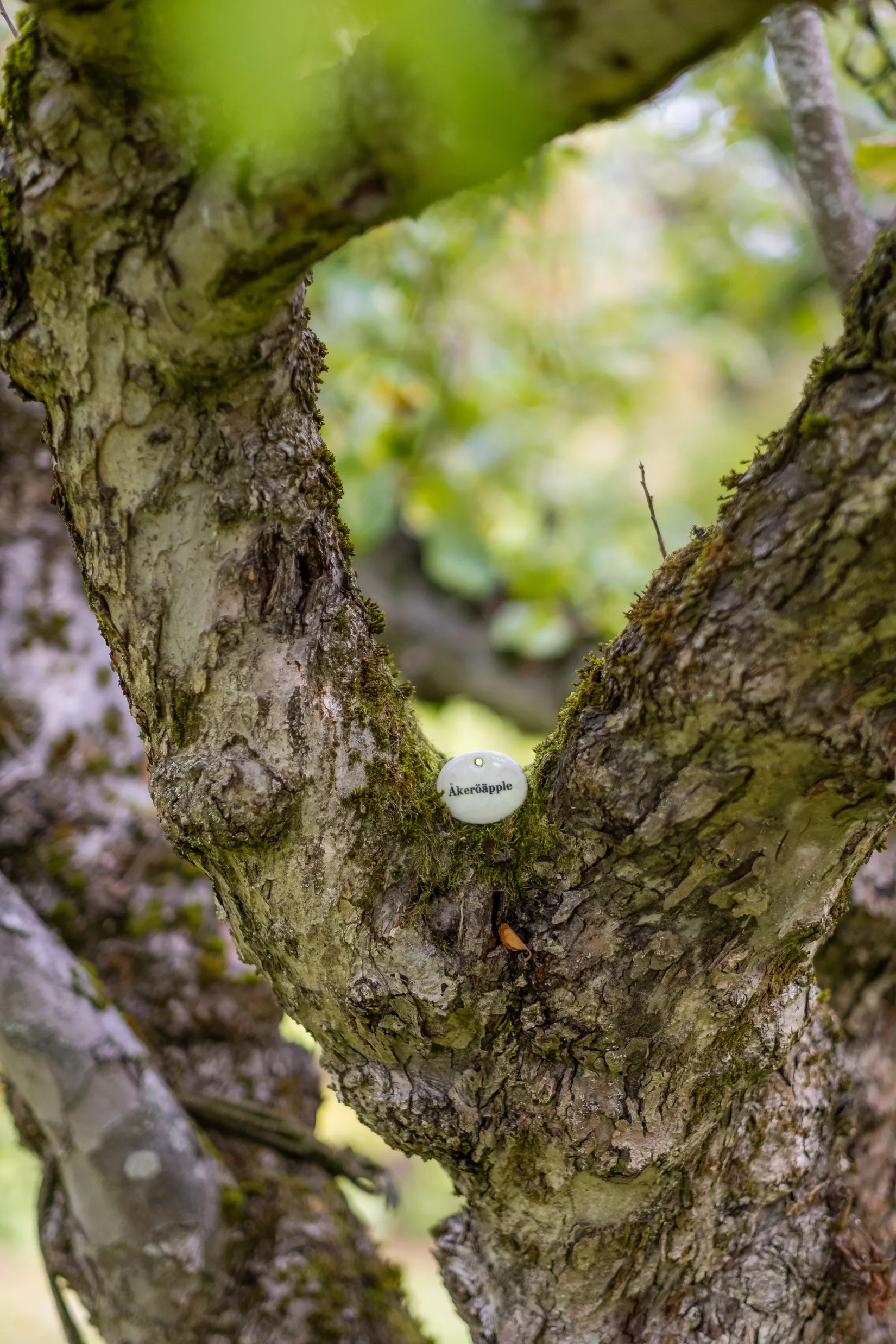 Villa, Fältstigen 3, Hersby, Lidingö