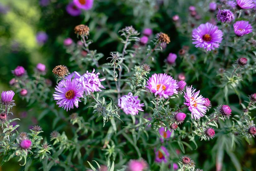 Villa, Åvägen 3, Centralt - Vagnhärad, Trosa