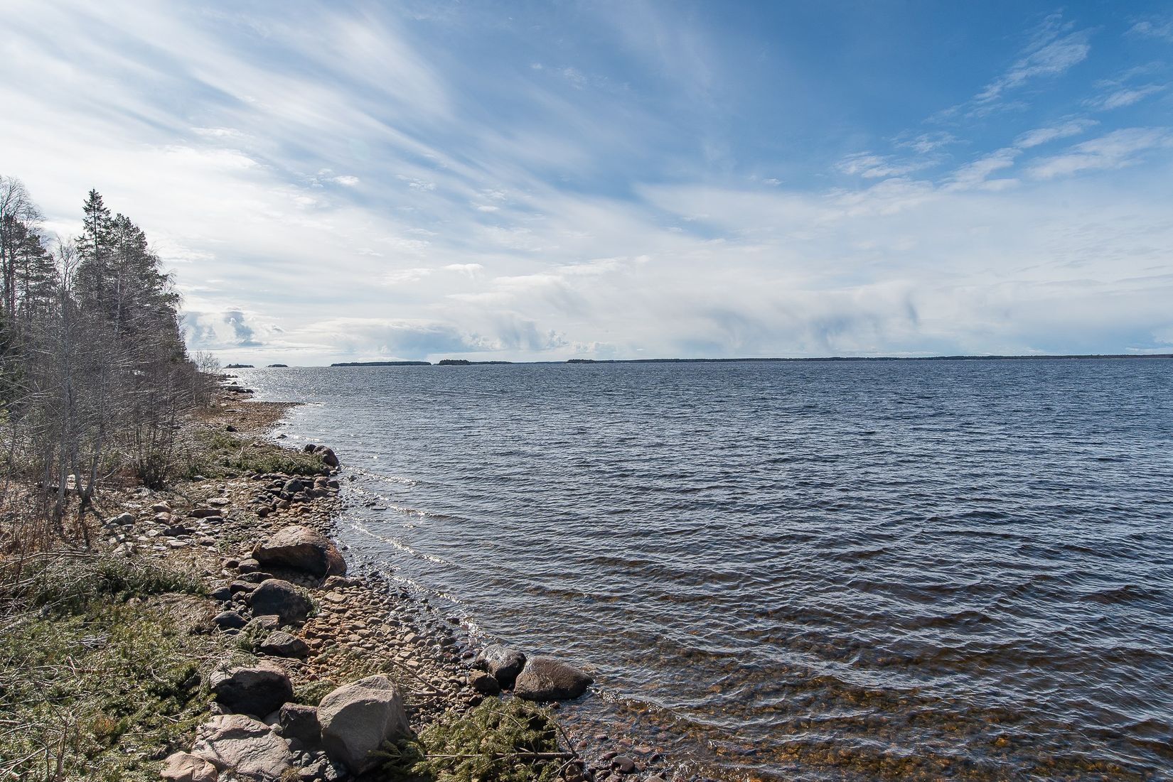 Gård/Skog, Nyvik, Nordmaling