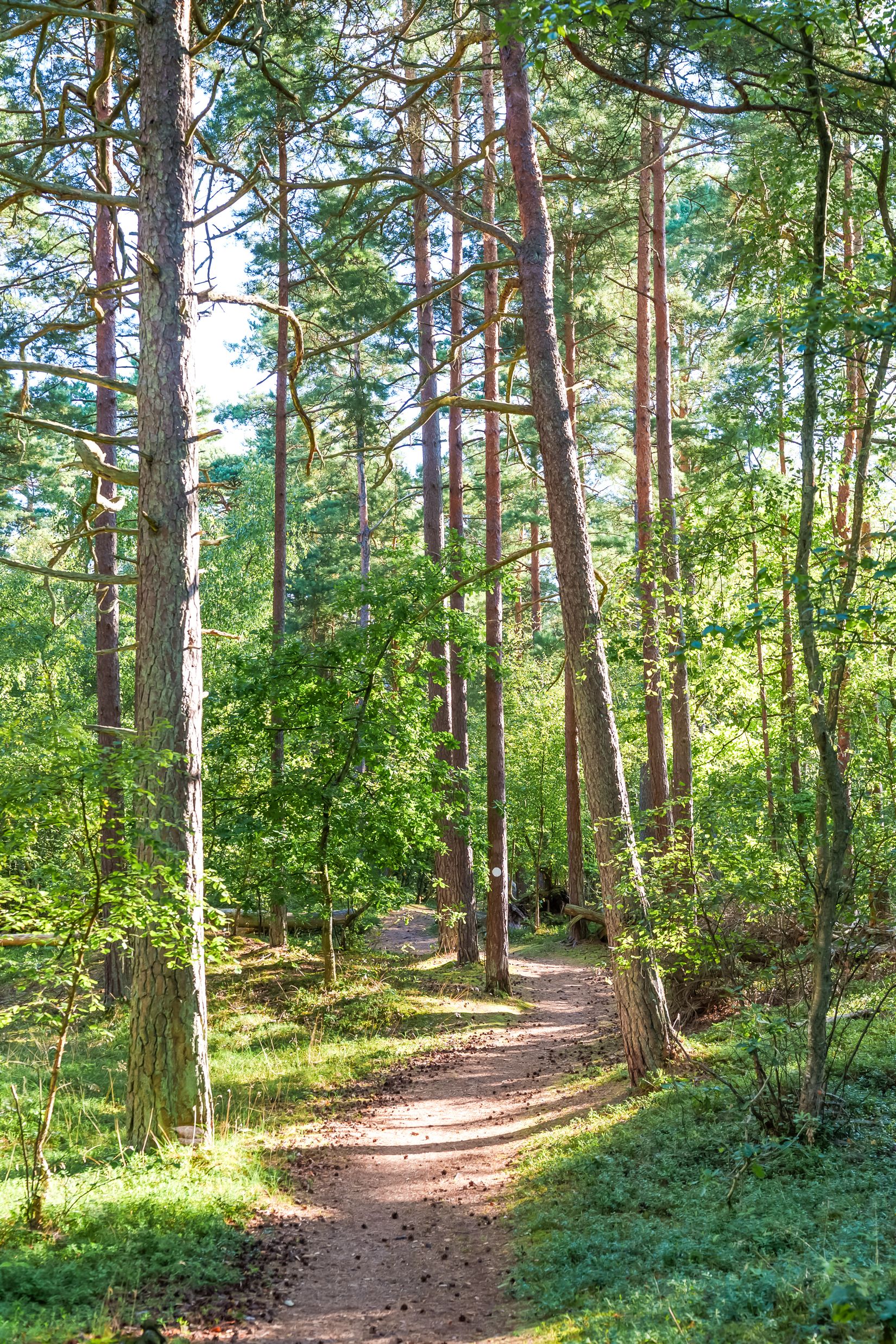 Villa, Vårvägen 12, Havsbaden, Ängelholm