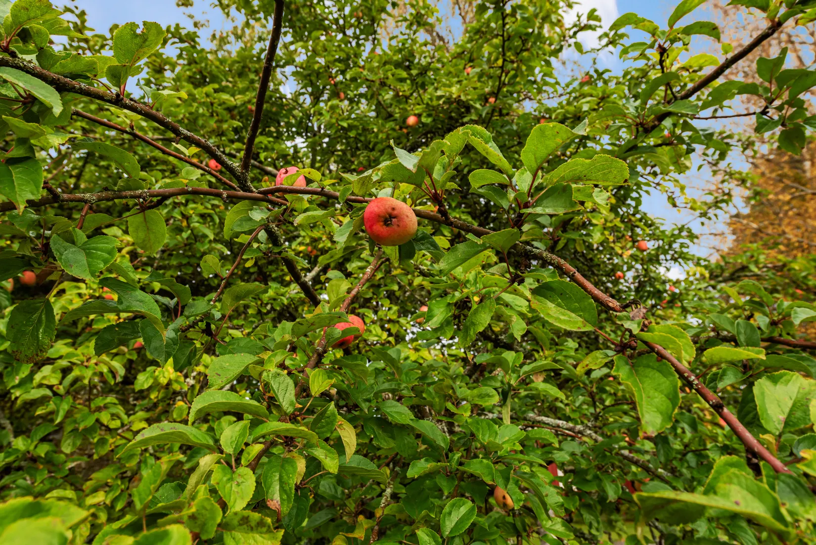 Fritidshus, Rörsbyvägen 78, Norrtälje