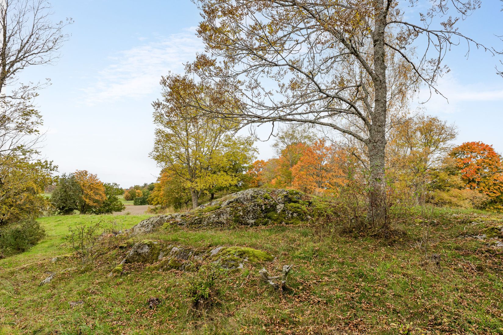 Tomt, Årsta 2:24, Årsta 1, Sköldinge, Katrineholm
