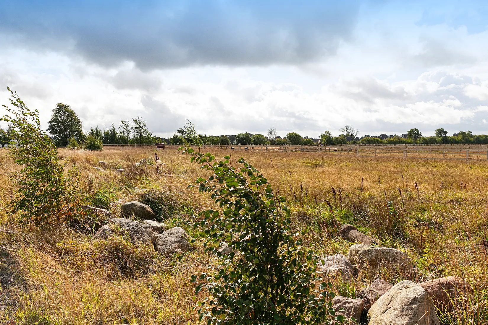 Villa, Gård/Skog, Björkdalavägen (Del av Allerum 4:18), Allerum, Helsingborg