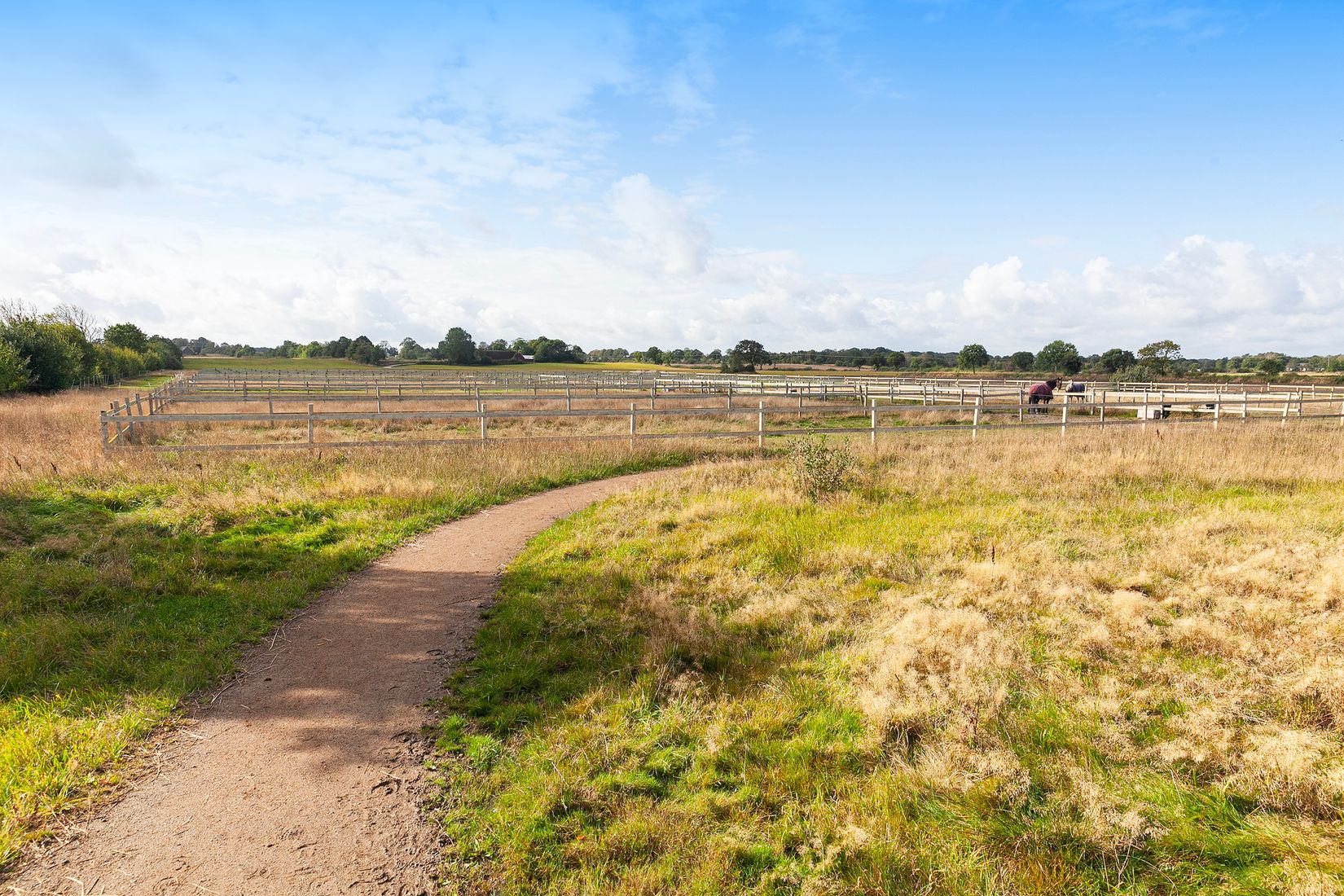 Villa, Björkdalavägen (Del av Allerum 4:18), Allerum, Helsingborg