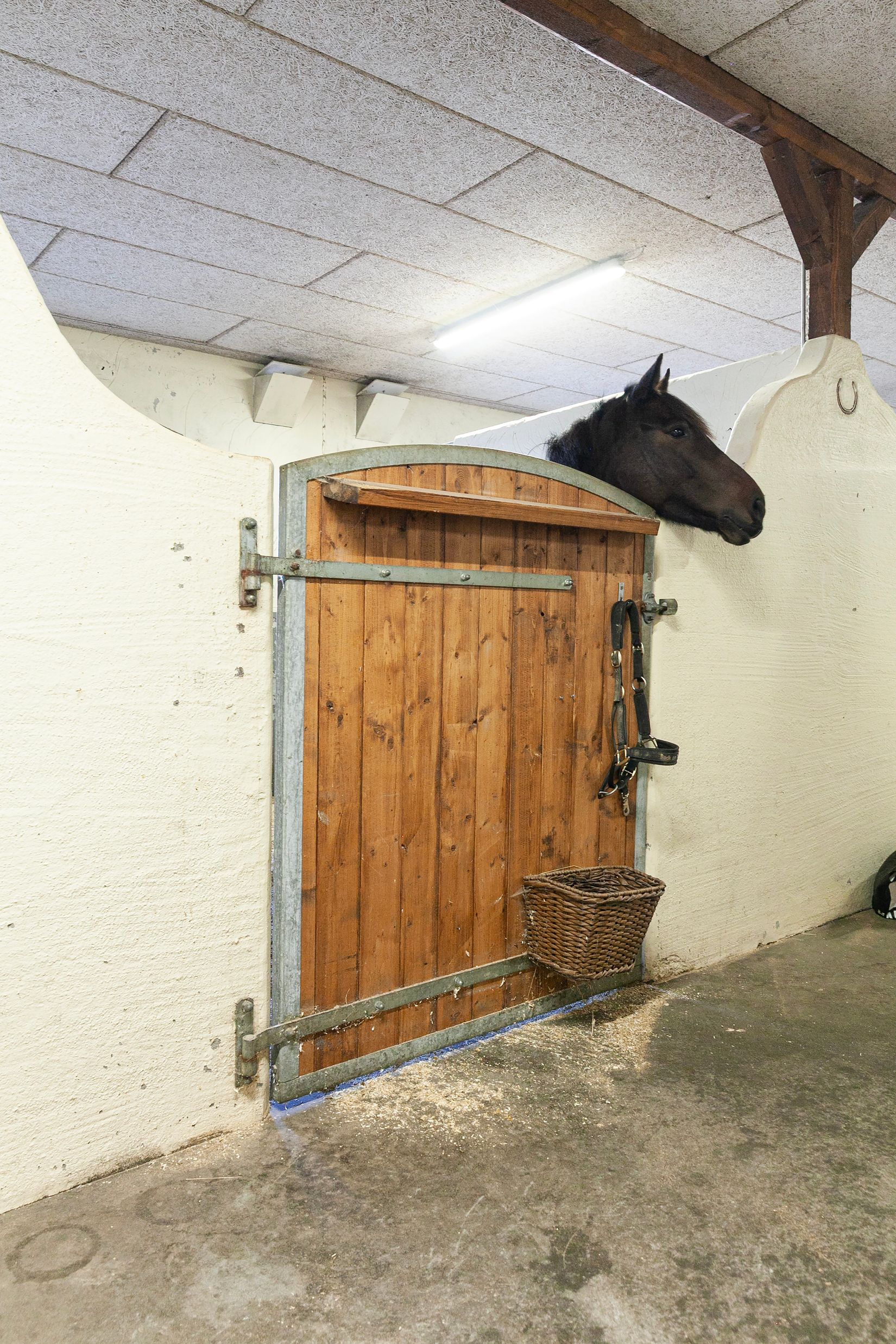 Villa, Björkdalavägen (Del av Allerum 4:18), Allerum, Helsingborg