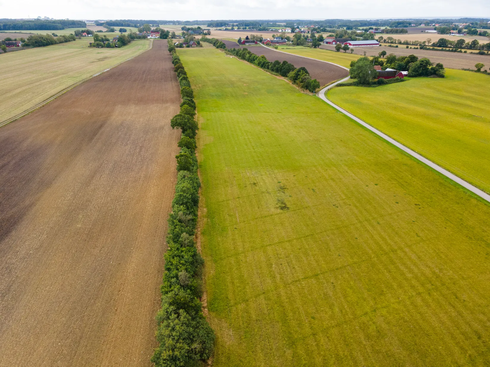 Villa, Gård/Skog, Björkdalavägen (Del av Allerum 4:18), Allerum, Helsingborg