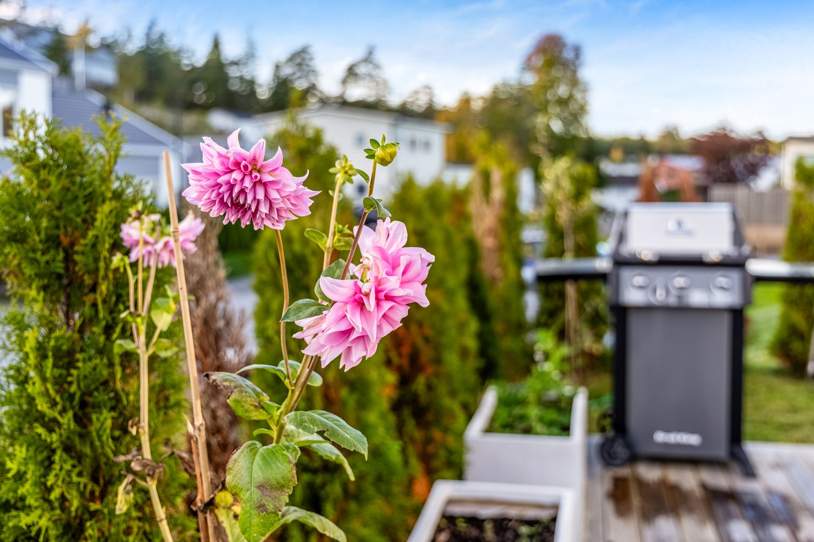 Bostadsrätt, Radhus, Djupdalsvägen 6C, Länna , Huddinge