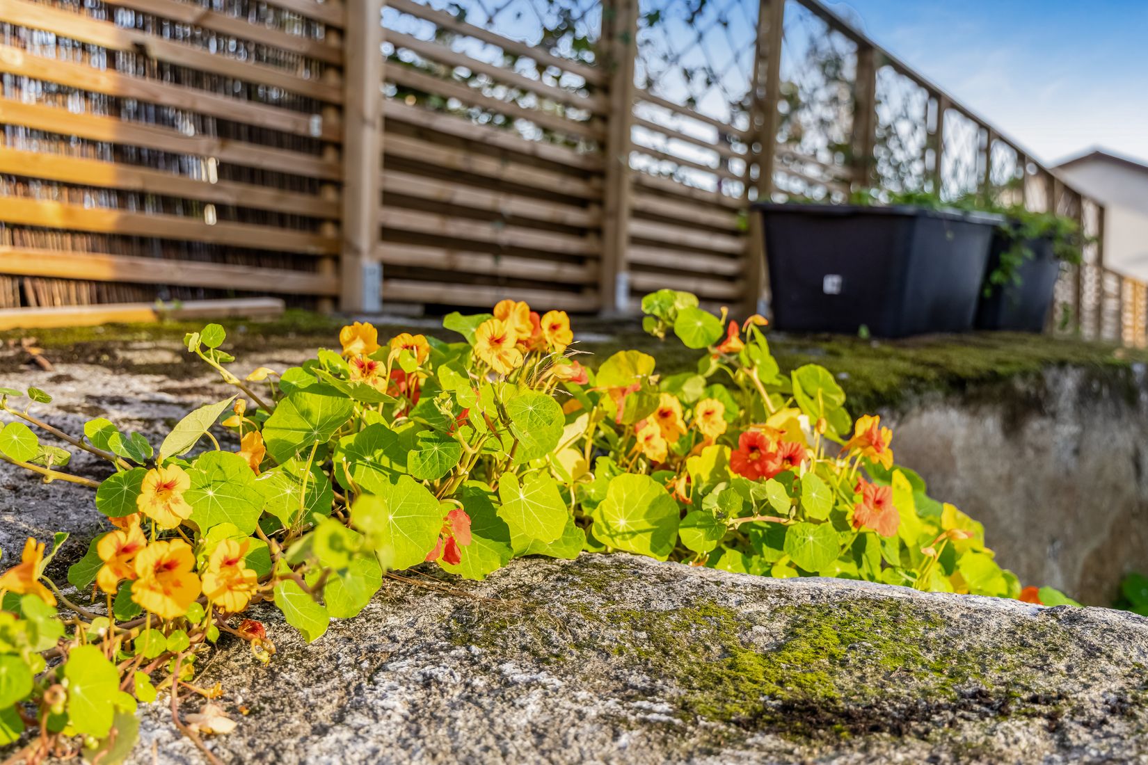 Bostadsrätt, Radhus, Djupdalsvägen 6C, Länna , Huddinge