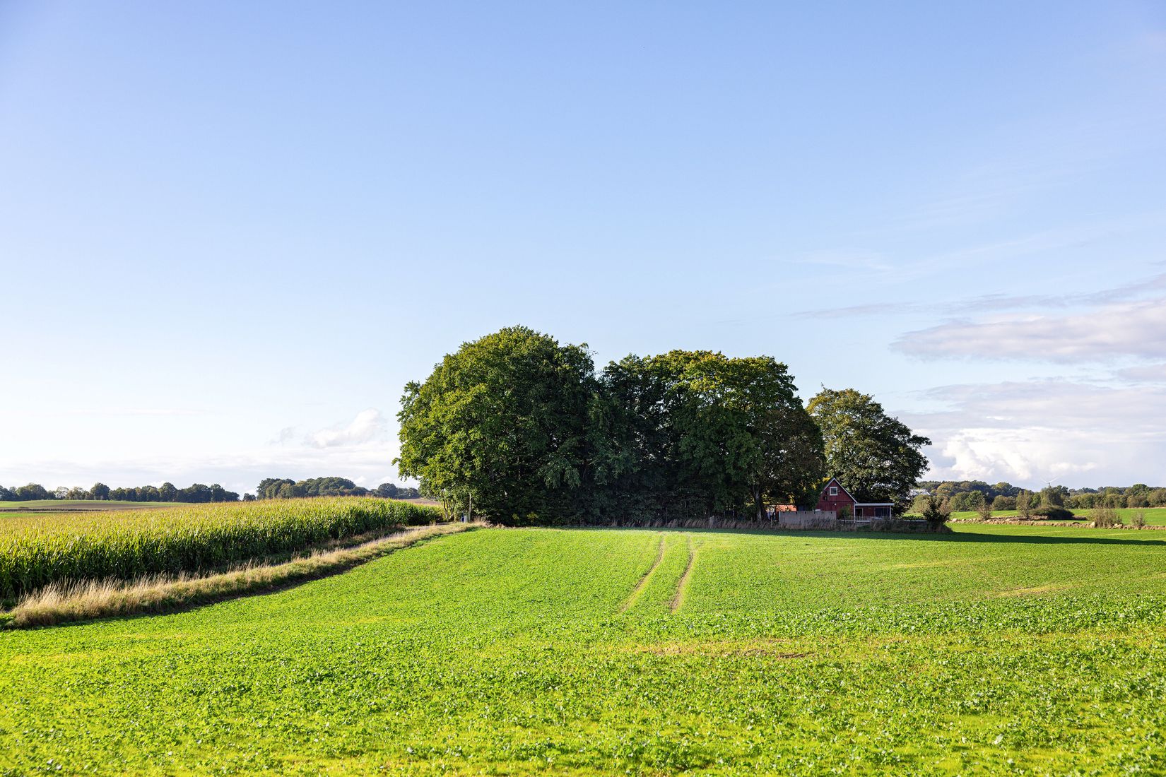Villa, Månslunda 2302, Fågeltofta, Tomelilla