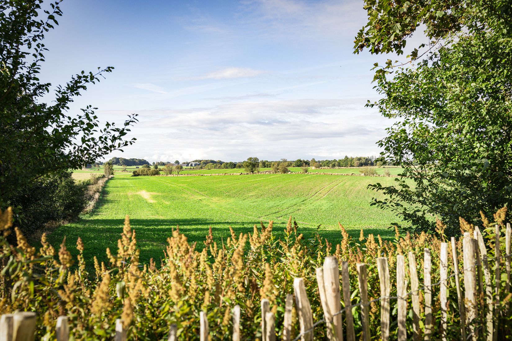 Villa, Månslunda 2302, Fågeltofta, Tomelilla