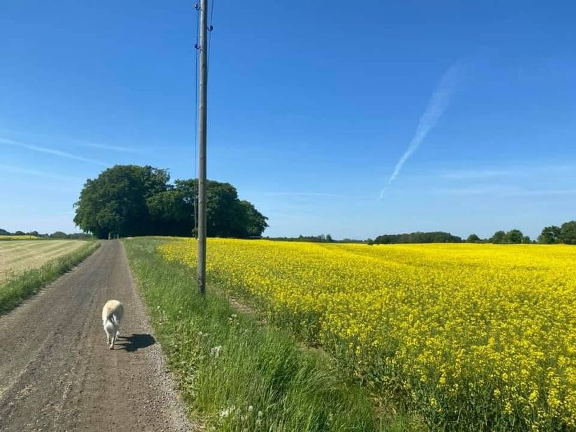 Villa, Månslunda 2302, Fågeltofta, Tomelilla