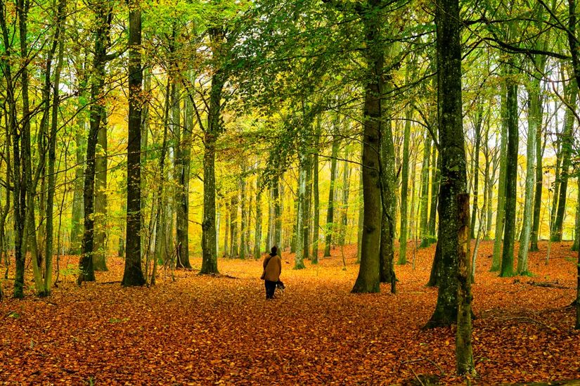 Villa, Månslunda 2302, Fågeltofta, Tomelilla