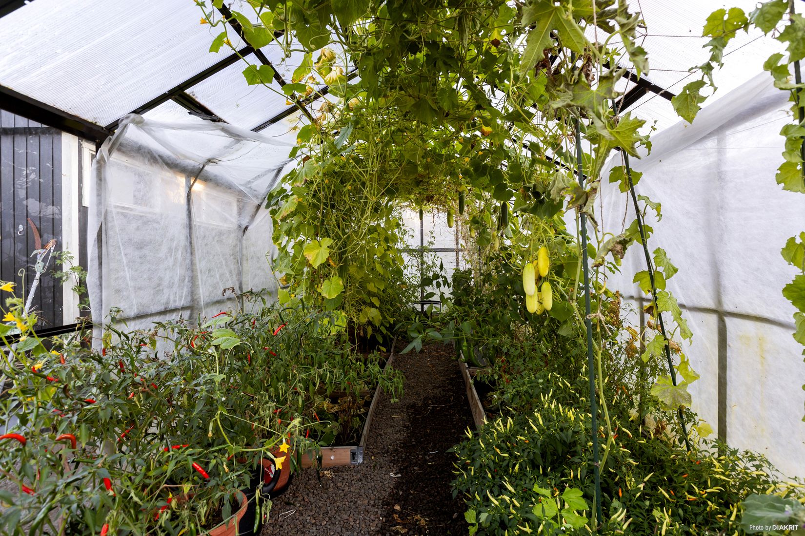 Villa, Stenhuggarevägen 9, Hällabrottet, Kumla