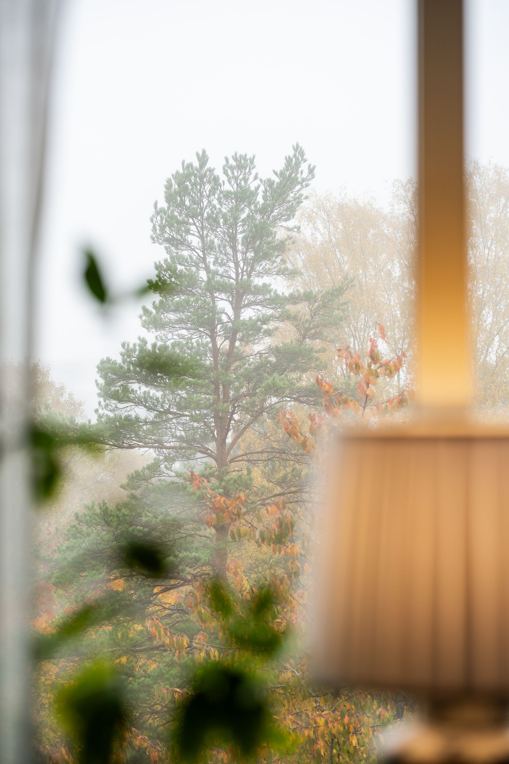 Bostadsrätt, Torgilsgatan 21B, Norrmalm, Borås