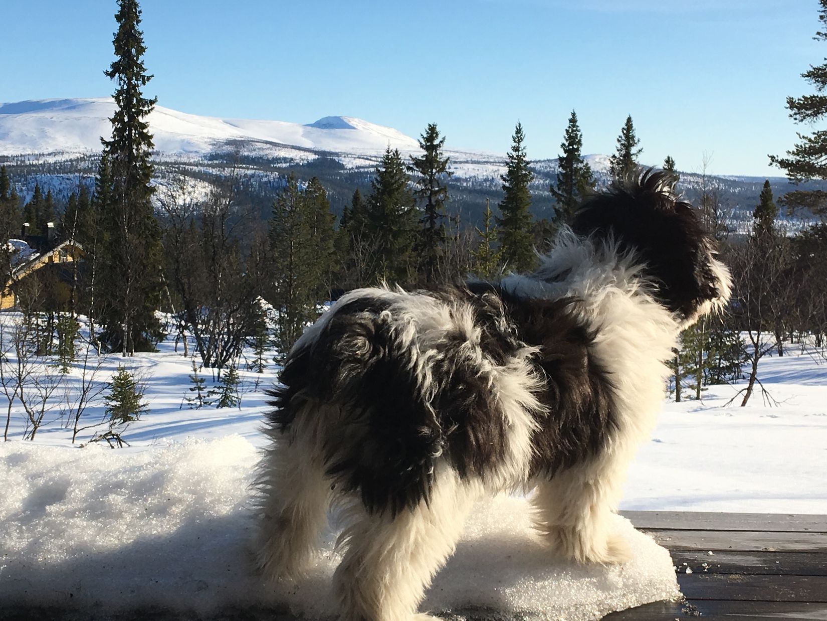 Fritidshus, Hovärken H 4, Härjedalen