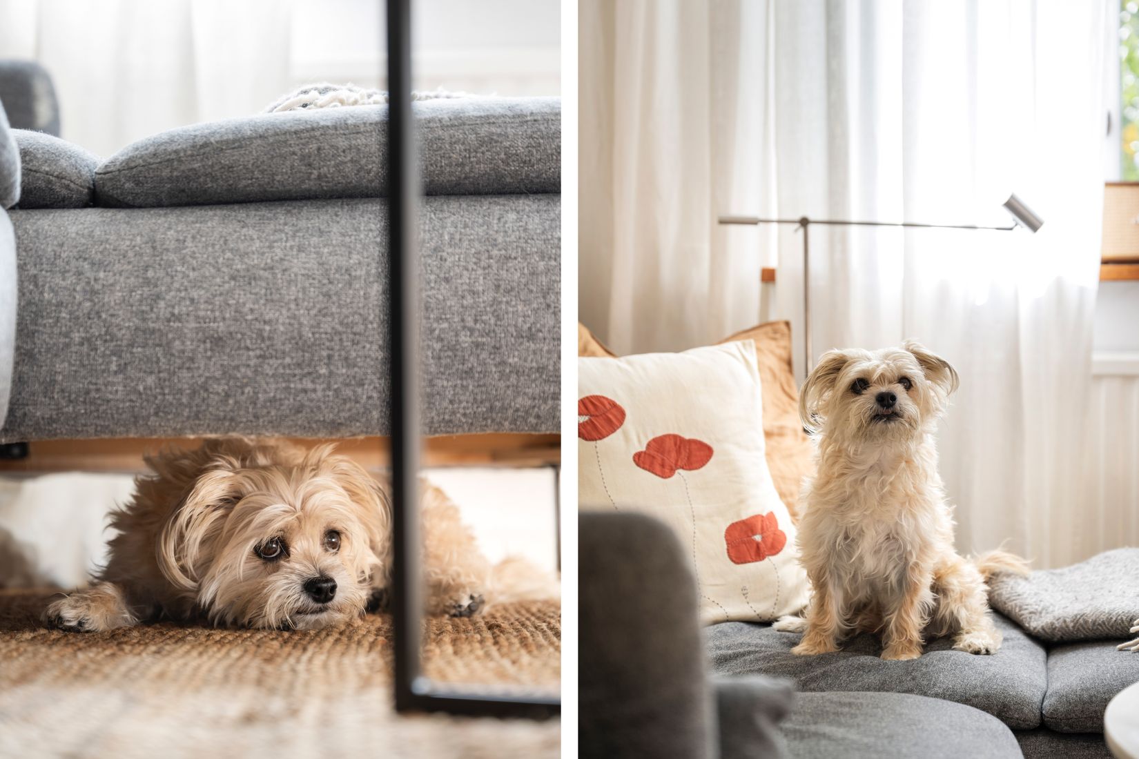 Bostadsrätt, Pingstvägen 50, Telefonplan - Midsommarkransen, Stockholm