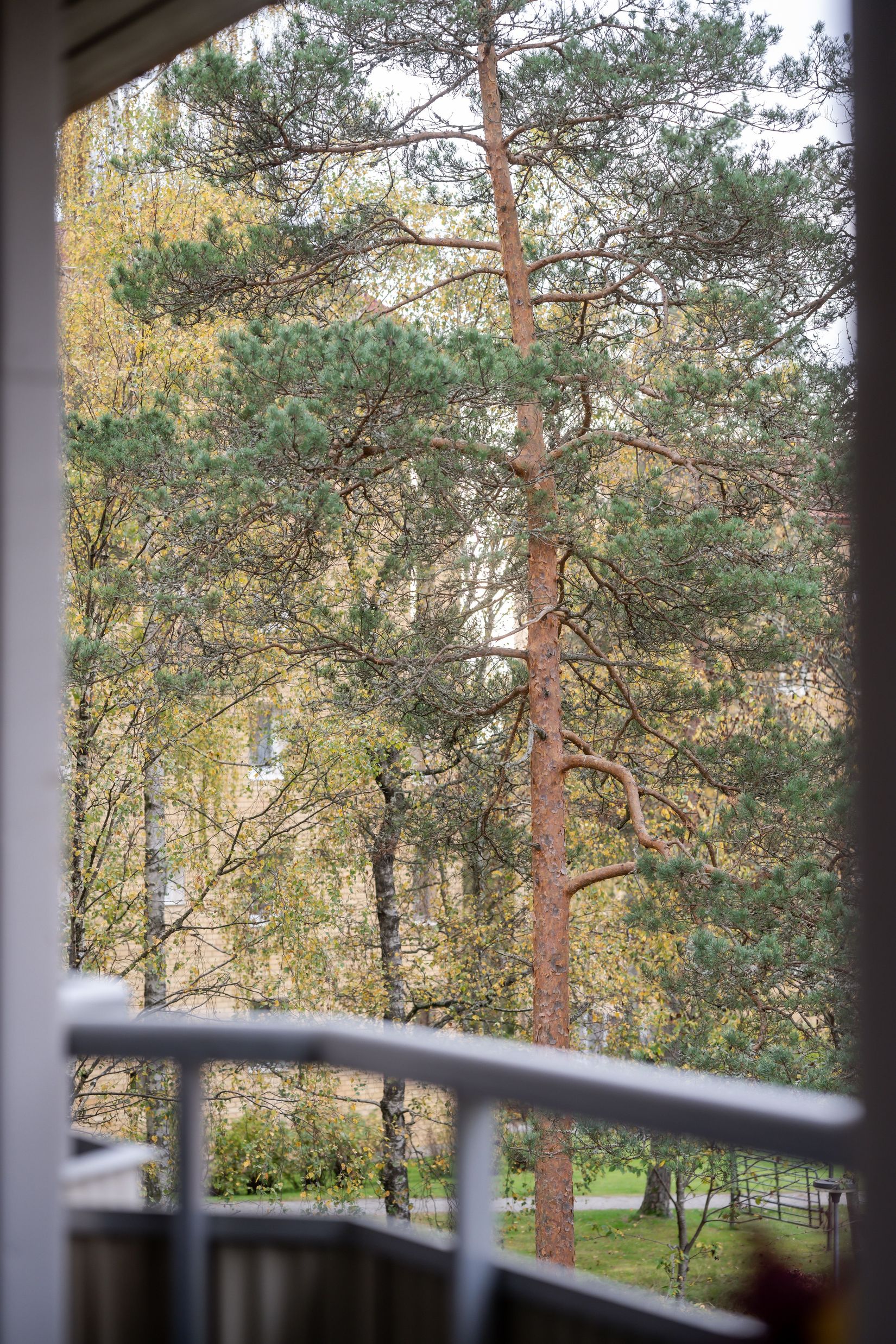 Bostadsrätt, Fjällgatan 47B, Tullen, Borås