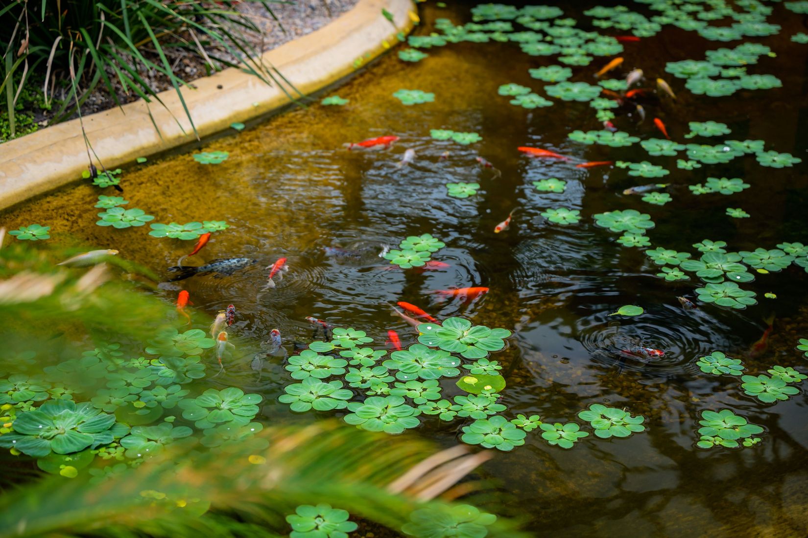 Bostadsrätt, Kung Hans väg 13, Norra Borstahusen, Landskrona