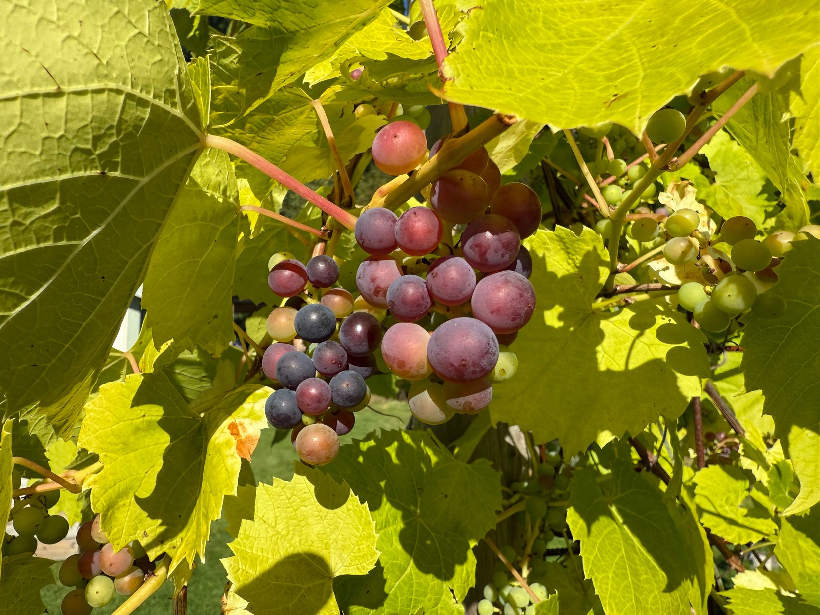 Villa, Häggvall 180, Tjörn