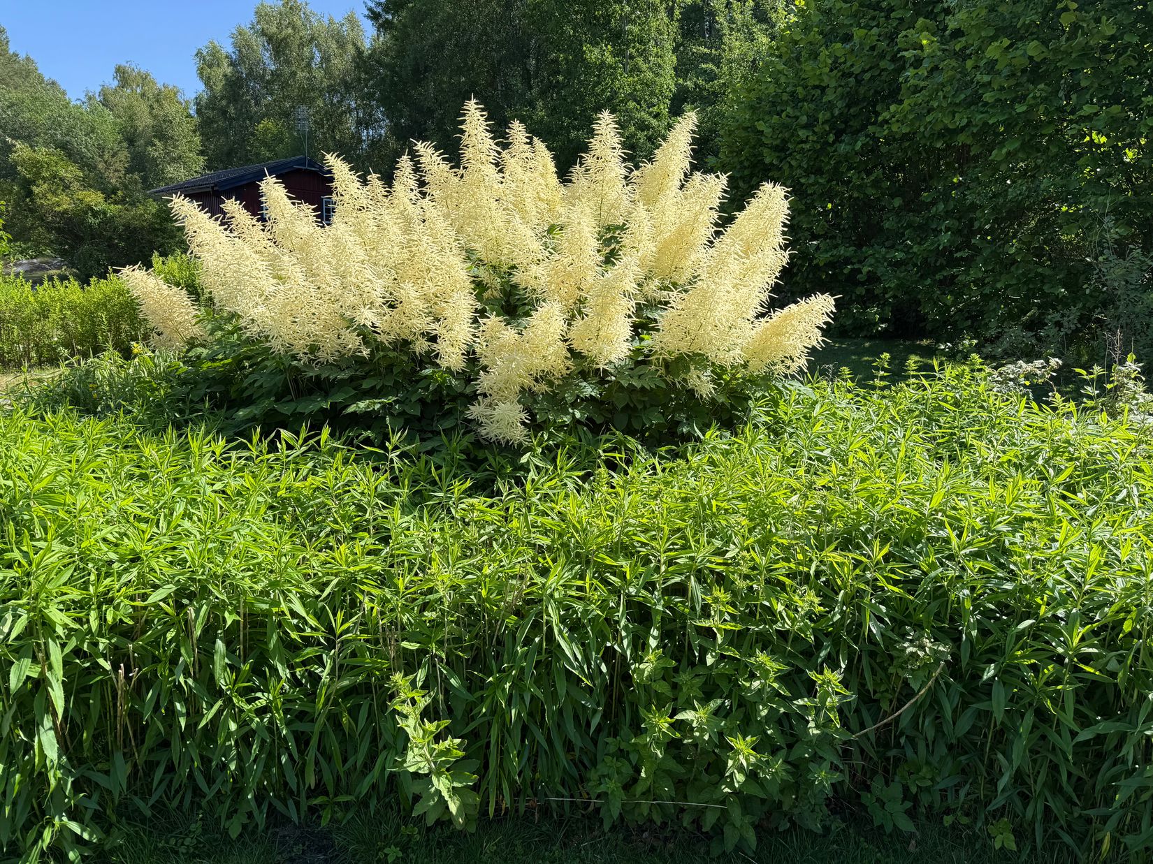 Villa, Häggvall 180, Tjörn