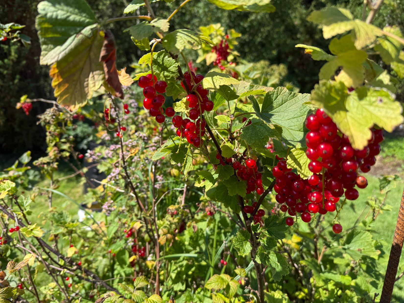 Villa, Häggvall 180, Tjörn