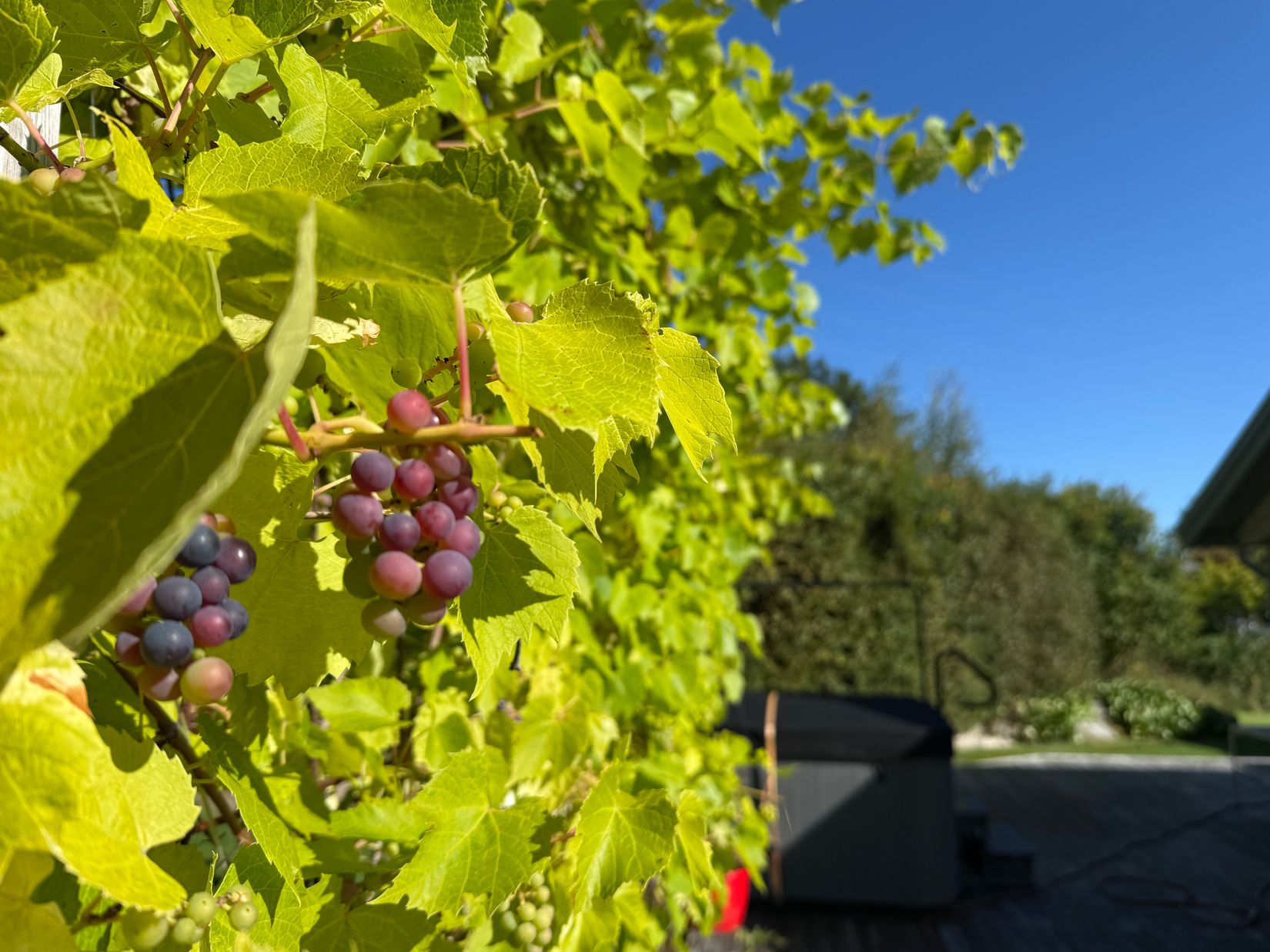 Villa, Häggvall 180, Tjörn