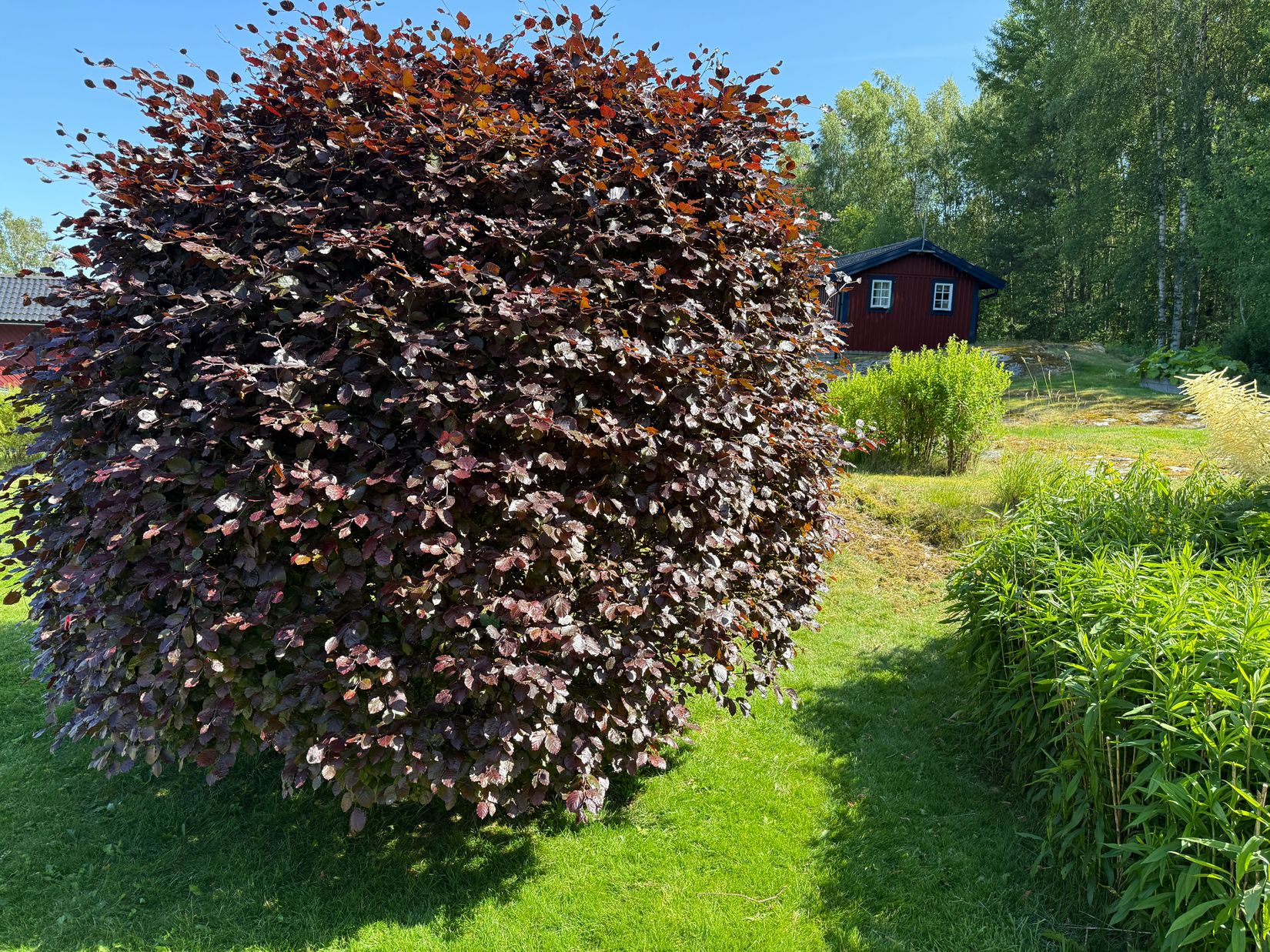 Villa, Häggvall 180, Tjörn