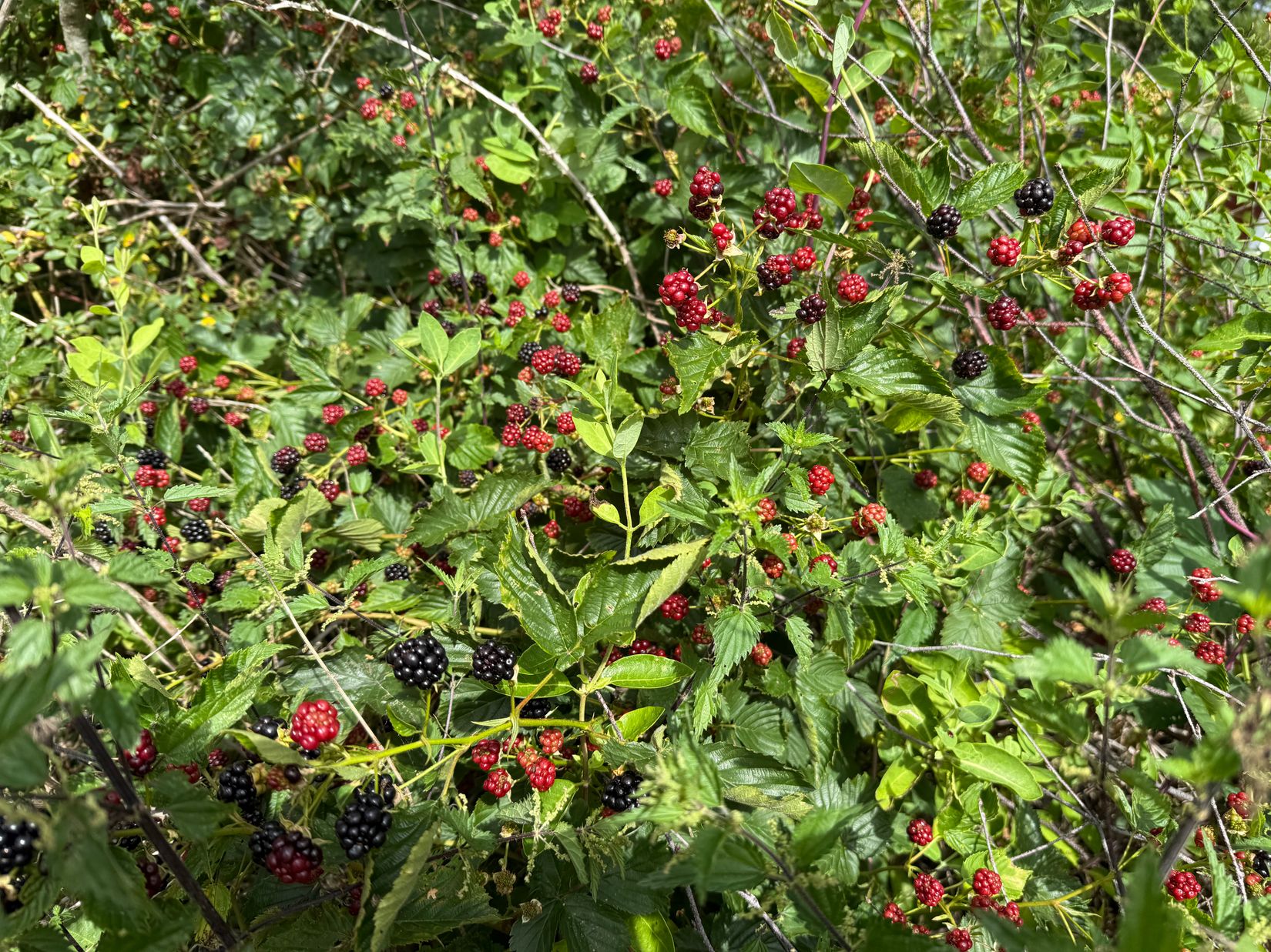 Villa, Häggvall 180, Tjörn