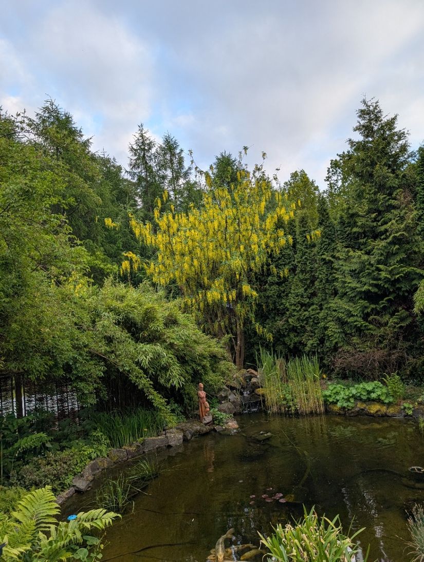 Villa, Anna Anders väg 20, Hemmestorps Fure, Sjöbo