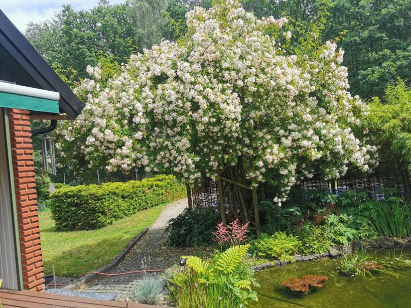 Villa, Anna Anders väg 20, Hemmestorps Fure, Sjöbo