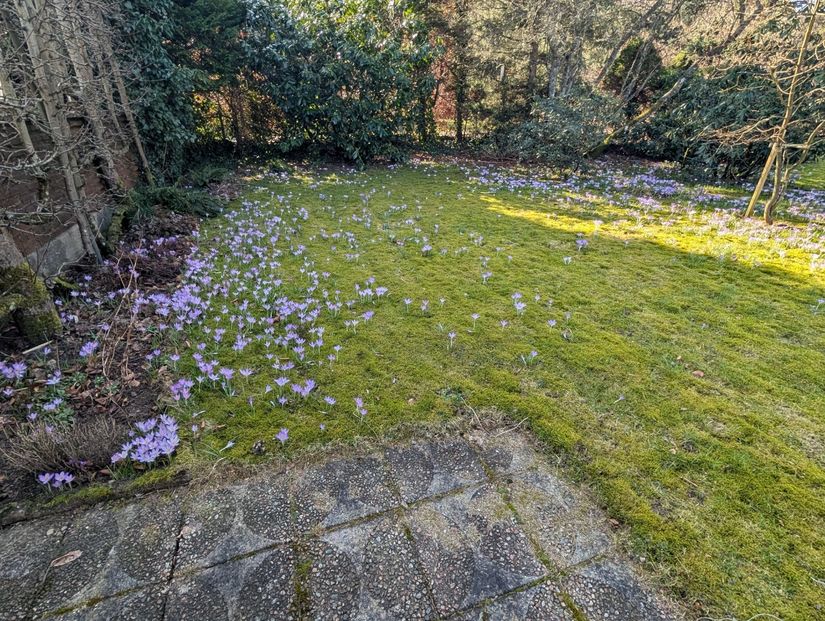 Villa, Anna Anders väg 20, Hemmestorps Fure, Sjöbo