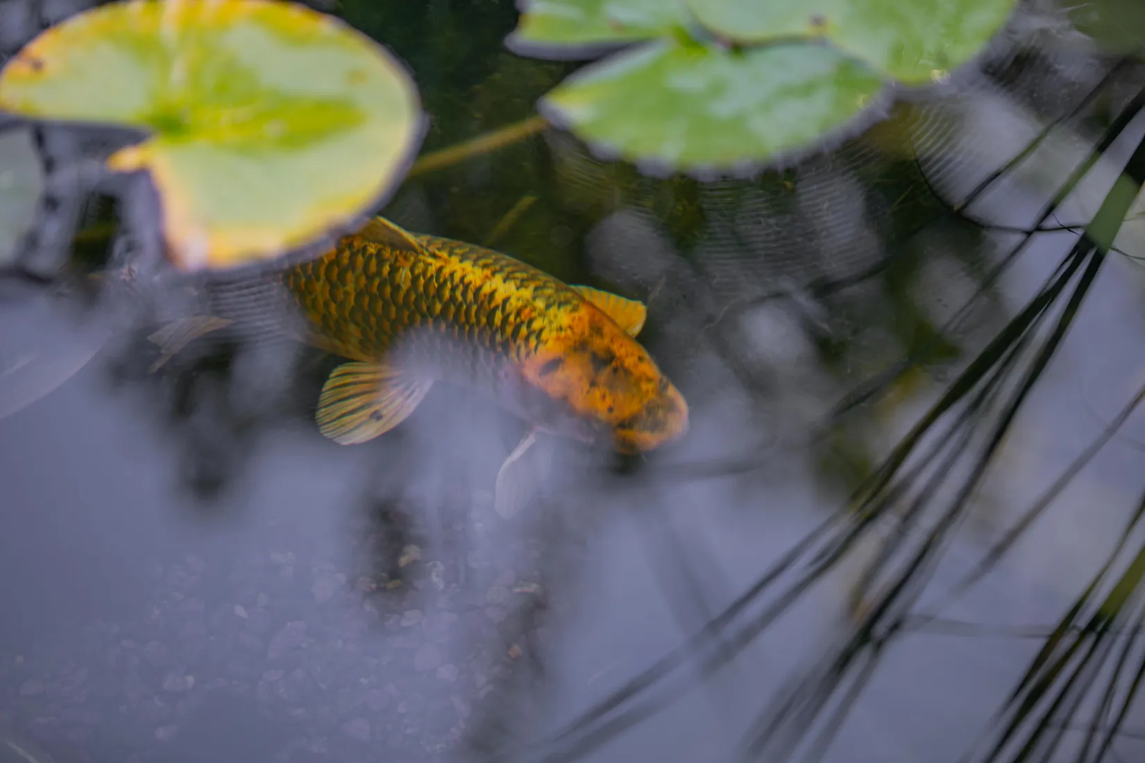 Villa, Hallgrens väg 18, Uppsala Näs, Uppsala