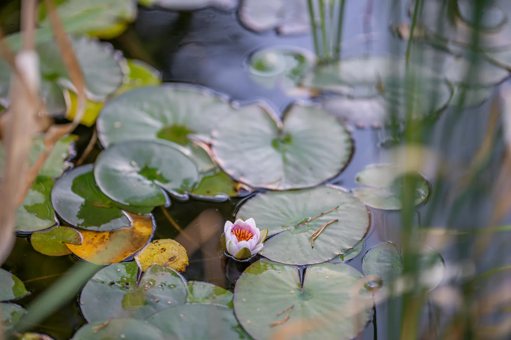 Villa, Hallgrens väg 18, Uppsala Näs, Uppsala