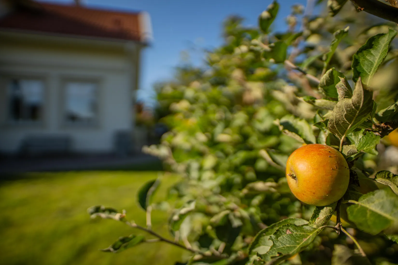 Villa, Hallgrens väg 18, Uppsala Näs, Uppsala