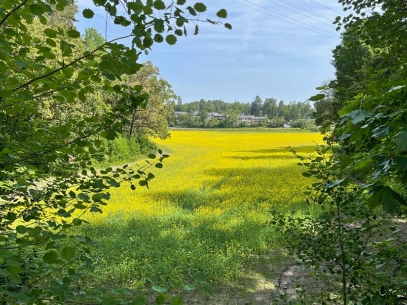Bostadsrätt, Radhus, Pastor Normans Väg 33, Gustavsberg Höjdhagen, Värmdö