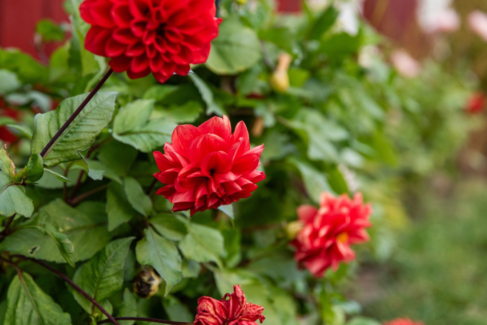 Villa, Skräddarvägen 8, Yxlan - Köpmanholm, Norrtälje