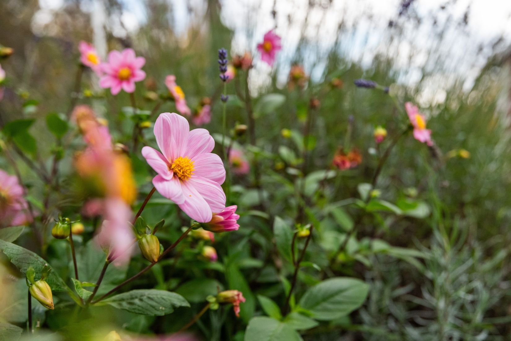 Villa, Skräddarvägen 8, Yxlan - Köpmanholm, Norrtälje