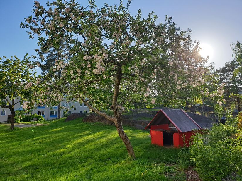 Bostadsrätt, Aspsätravägen 17, Sätra, Stockholm