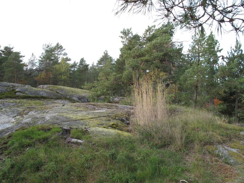 Villa, Alpvägen 8, Tullinge Villastad, Botkyrka