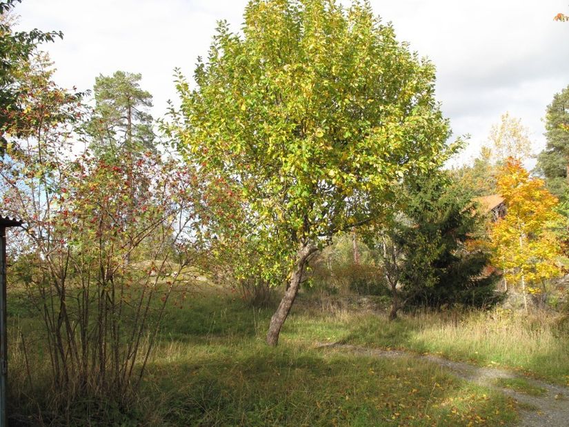 Villa, Alpvägen 8, Tullinge Villastad, Botkyrka