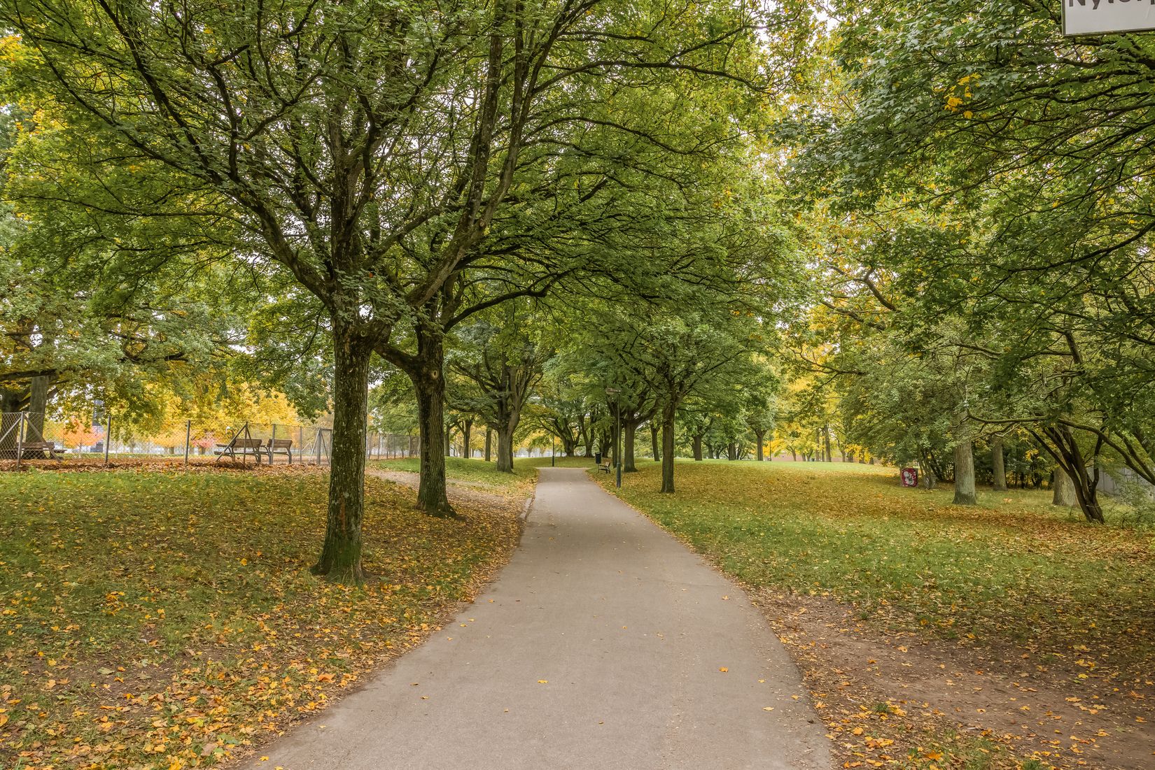 Bostadsrätt, Vendelsfridsgatan 4A, Lorensborg, Malmö