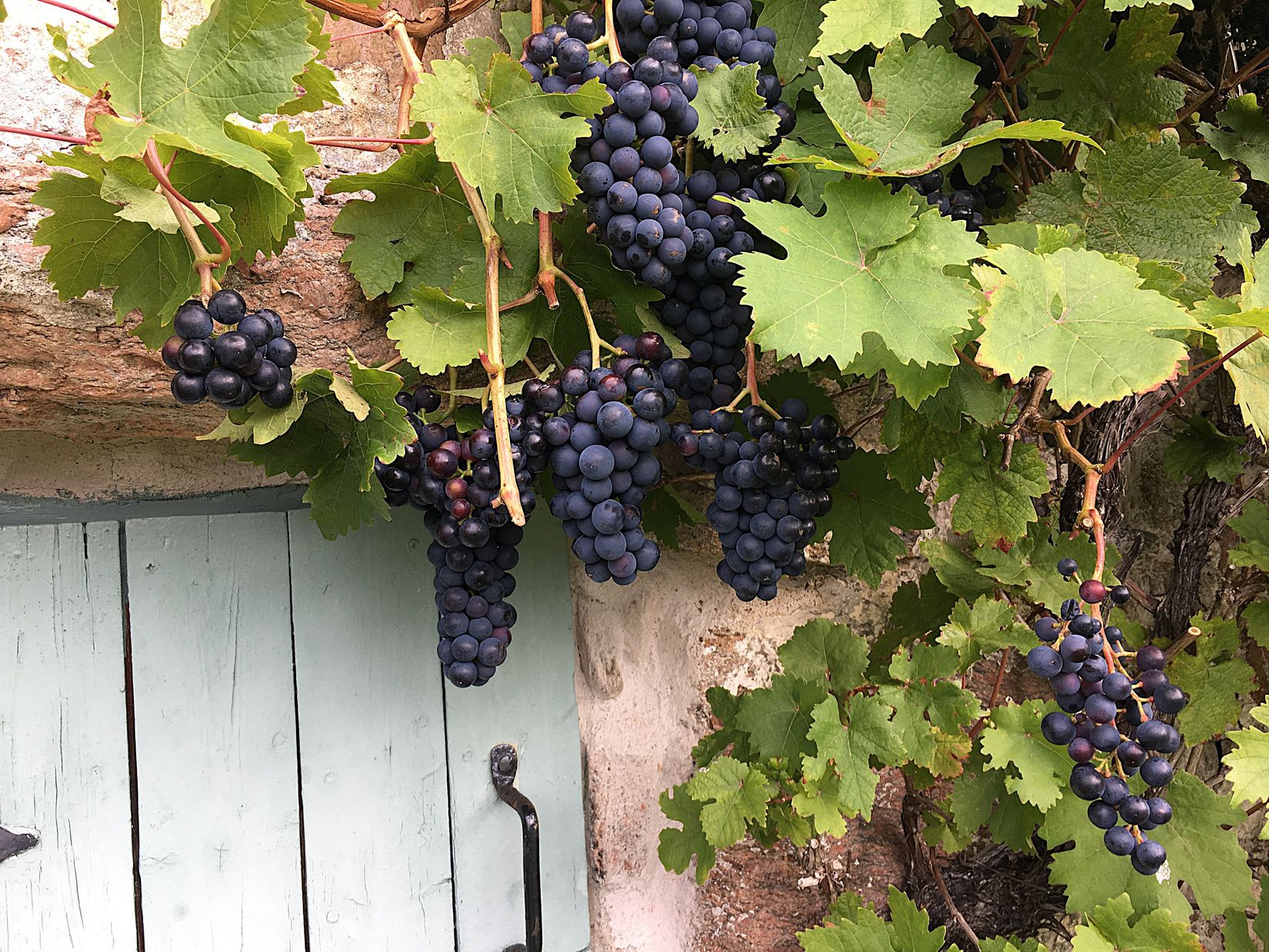 Villa, Östra Näs  Skåpesund 71, Skåpesund ( nordvästra delen ), Tjörn