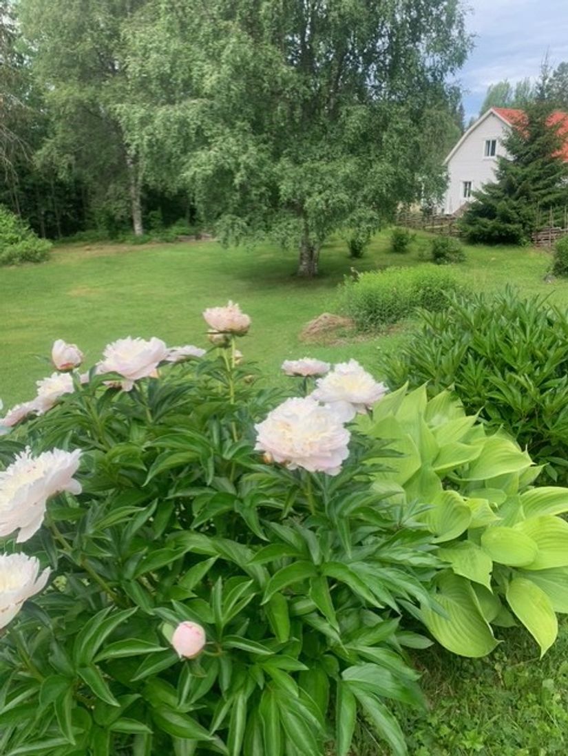 Villa, Häggdalstorpet 411, Brunflo, Östersund