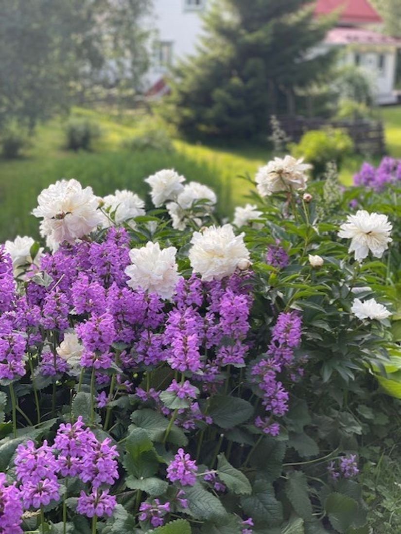 Villa, Häggdalstorpet 411, Brunflo, Östersund